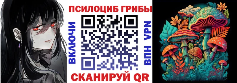Галлюциногенные грибы Magic Shrooms  закладка  Геленджик 